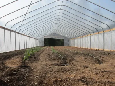 Full Moon Farm