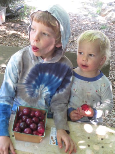 Mama Earth Farm