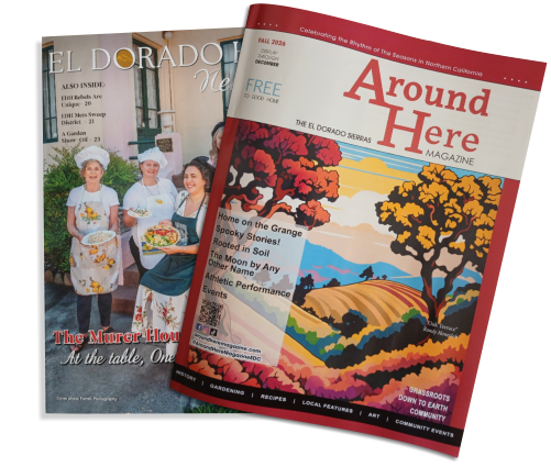 Local Publications