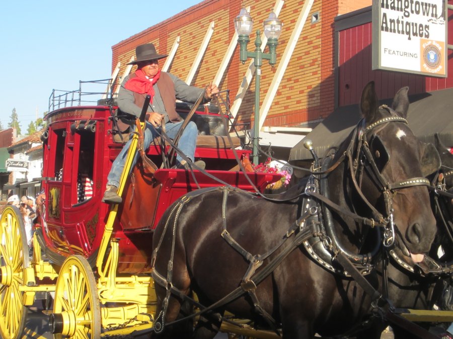 A Team and Carriage
